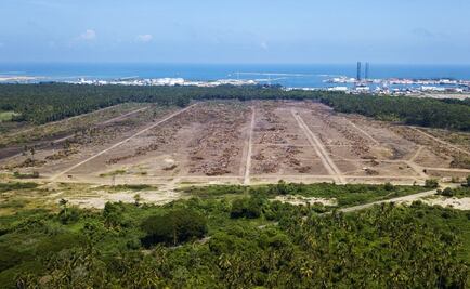 Dos Bocas oil refinery: devastated mangrove and wildlife at risk 