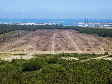 Dos Bocas oil refinery: devastated mangrove and wildlife at risk