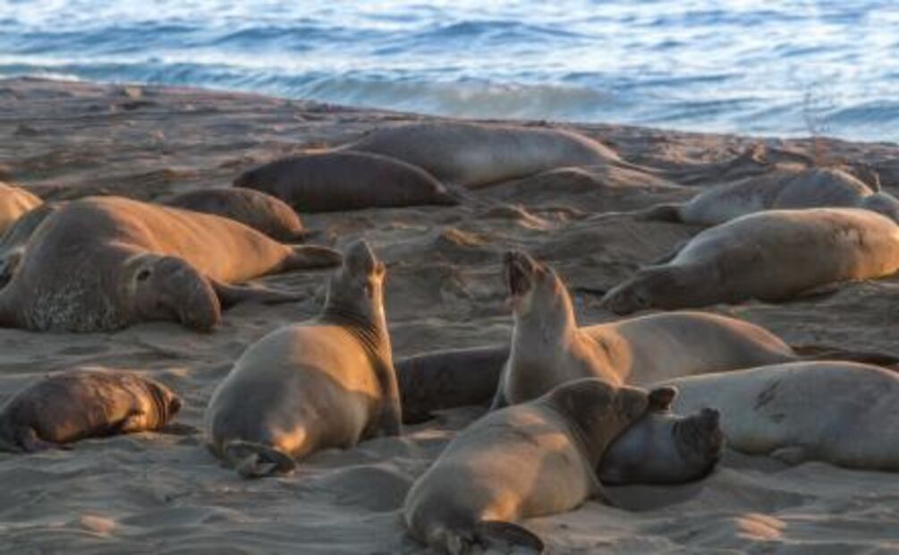 Costa californiana: entre copas y de pueblo en pueblo