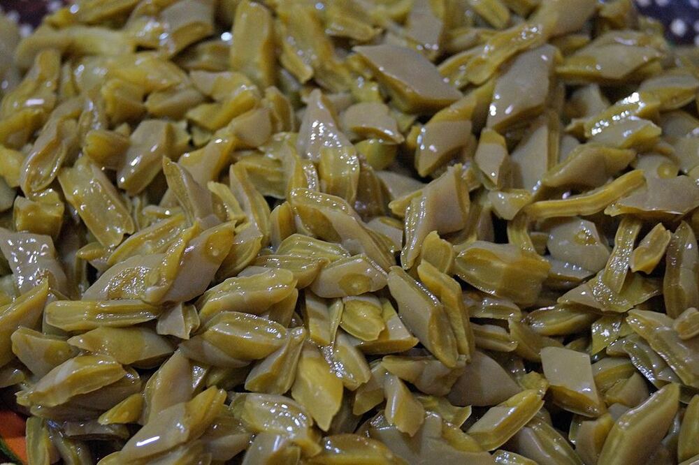 La fibra es importante para bajar la masa muscular y la puedes encontrar en los nopales. / Foto: Pixabay 