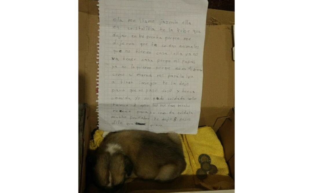 (Foto: Facebook/ Paty Suale)