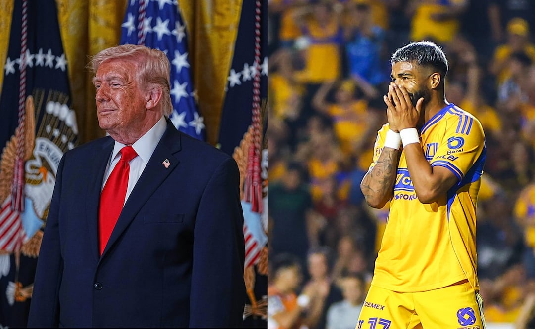 Donald Trump afecta el vuelo de Tigres - Fotos: AP/Imago7