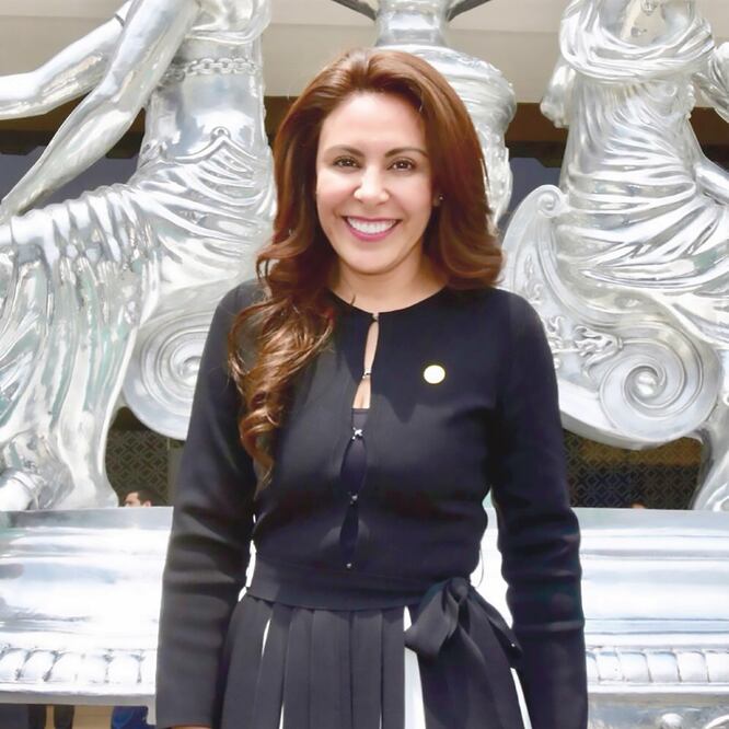 Discuten reformas. La diputada Rocío Barrera dijo que se implementarán mesas de trabajo para analizar incluso sanciones ante el incumplimiento de la ley. ARCHIVO EL UNIVERSAL