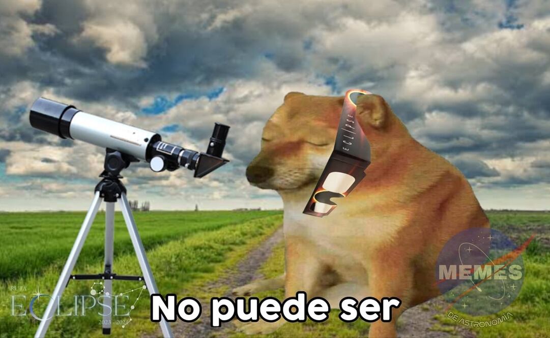 Un sector del público quiere tener el mejor lugar para presenciar el espectáculo. Foto: X