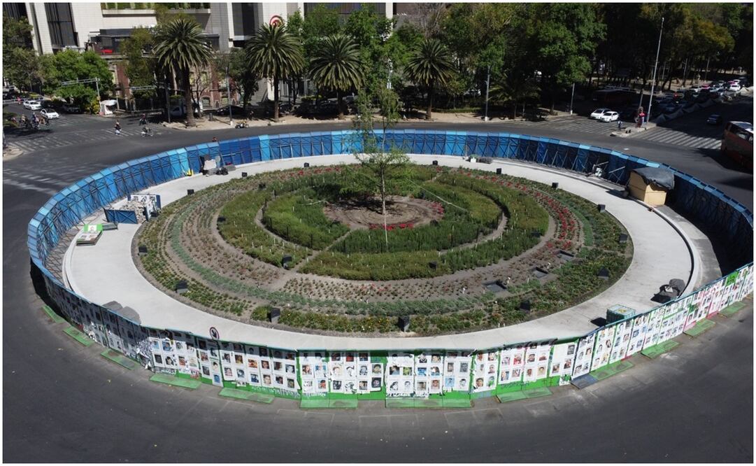 Ahuehuete de Reforma. Foto: Eduardo Castañeda