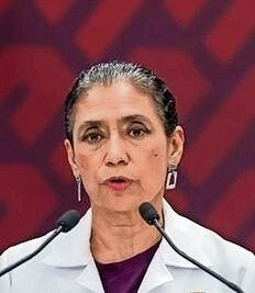 Descartan plaga de chinches en la CDMX