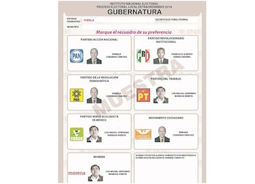 Aprueban boleta con fotografías