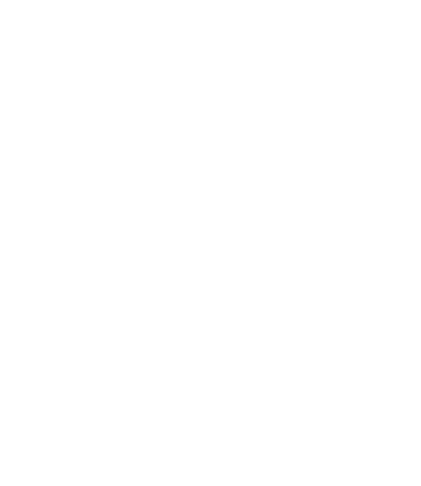 TikTok El Universal