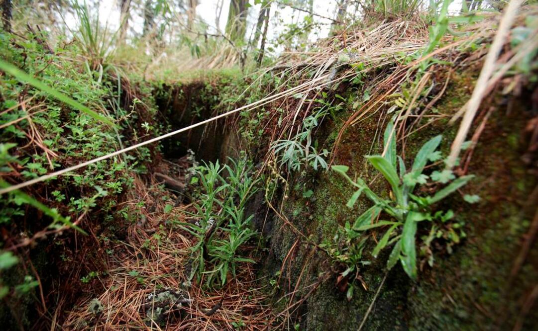 (Foto: Archivo / EL UNIVERSAL)