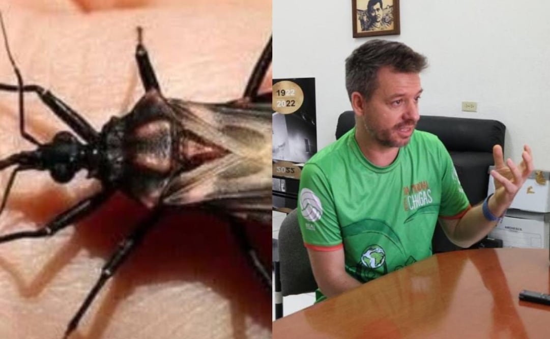 Investigadores alertan sobre enfermedad de Chagas en Yucatán; estiman 16 mil infectados.
Foto: Especial.