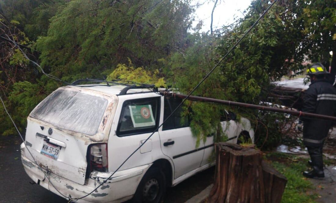 Algunos automóviles y casas resultaron dañados tras la caída de postes de luz y árboles. ESPECIAL
