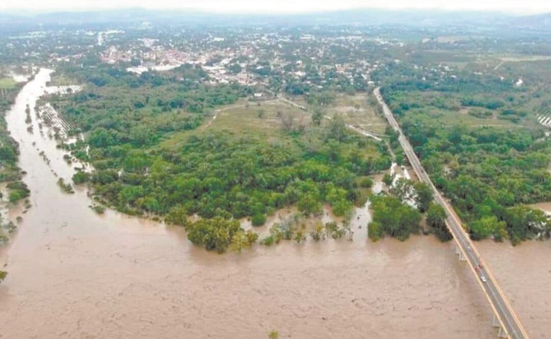 120 mil hectáreas donde se siembran cítricos tienen severas afectaciones. Foto: Especial.