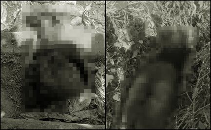 Hallan cuerpo con huellas de tortura en calles de Tabasco; dejan cabeza humana en una bolsa negra en Villahermosa