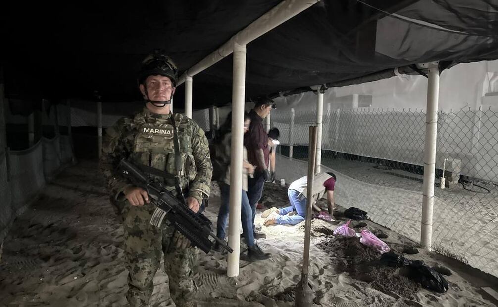 Marina anuncia aseguramiento de seis mil 294 huevos de tortuga en costas de Michoacán este lunes 1 de septiembre de 2025. Foto: Semar