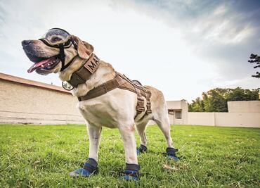 "Frida Marina, beer for a cause"