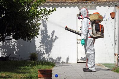 Denuncian falta de equipo para combatir mosquitos en Guerrero