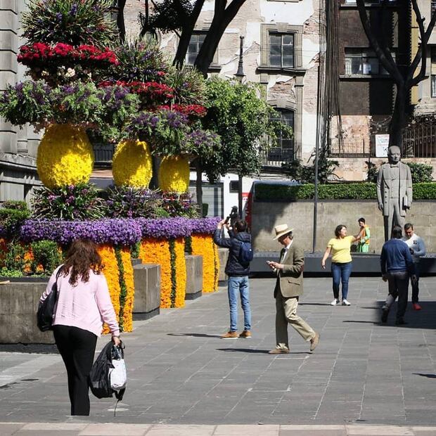 Foto: Twitter @Claudiashein