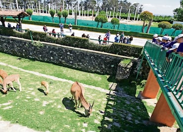 Listos para recibir a turistas en Zacango y La Marquesa