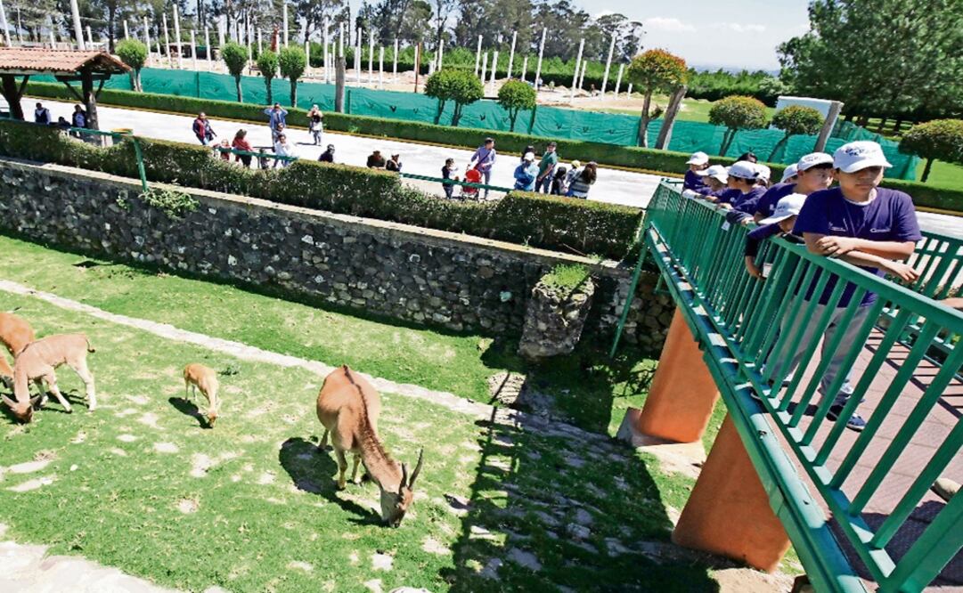Estado de México listo para recibir a turistas en Zacango y La Marquesa. Foto: Archivo/EL UNIVERSAL 
