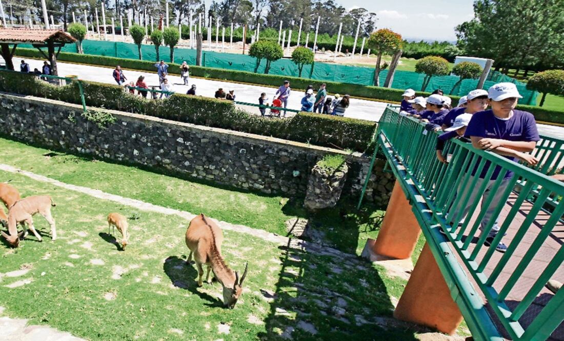 Estado de México listo para recibir a turistas en Zacango y La Marquesa. Foto: Archivo/EL UNIVERSAL