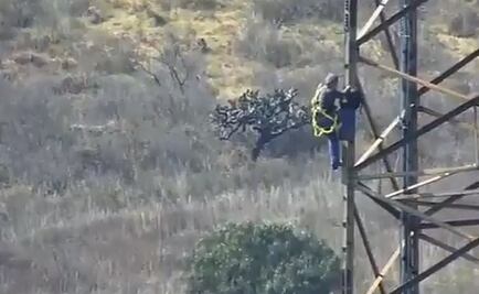 Rescatan a hombre trepado a torre de luz en Atizapán