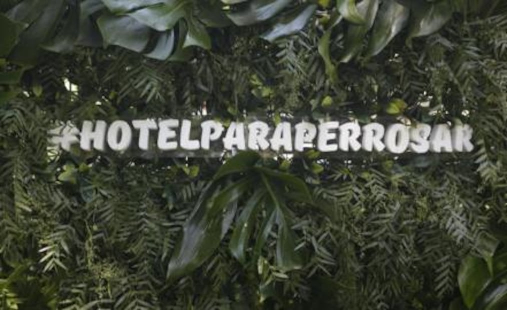 Petville, un hotel para perros de 5 estrellas