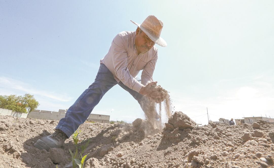 Los bajos niveles en las presas y el cambio climático, que ha elevado las temperaturas, han deteriorado la tierra, aseguran campesinos. Fotos: Jorge Alvarado. EL UNIVERSAL