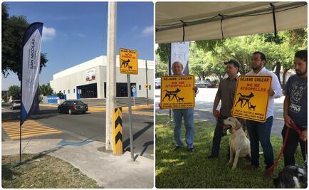 Inauguran cruces peatonales para animales en San Nicolás de los Garza, NL