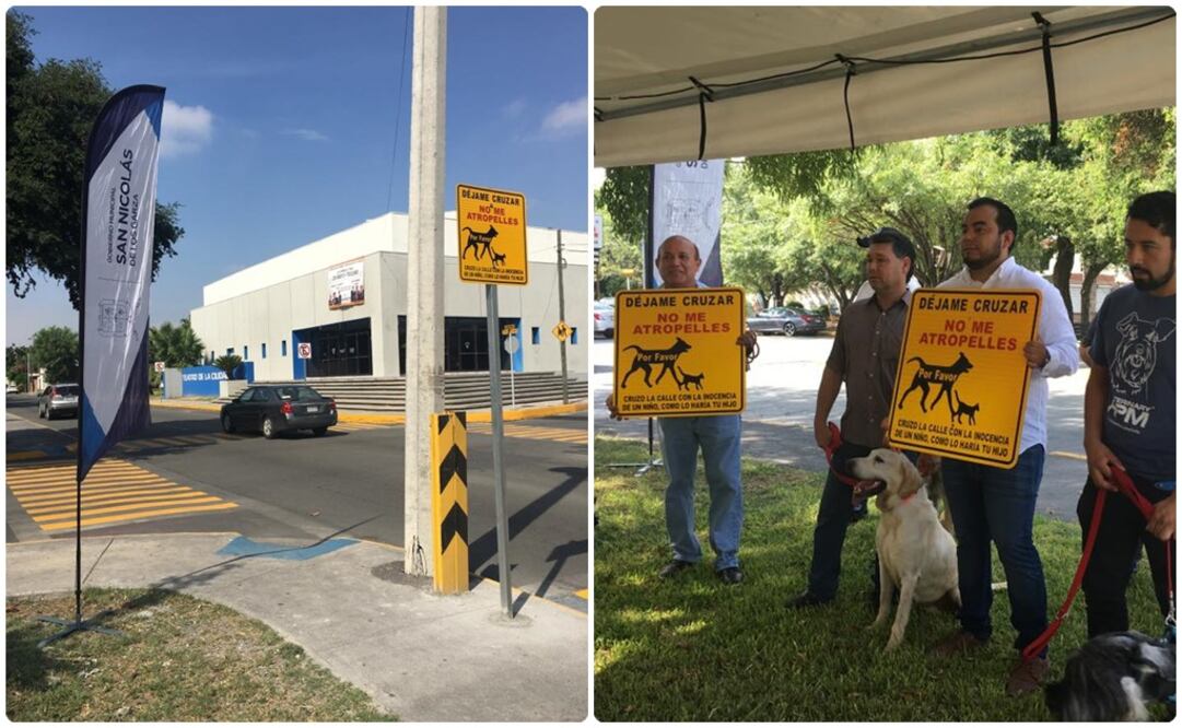 Foto: tomada de Facebook  @culturaperrona