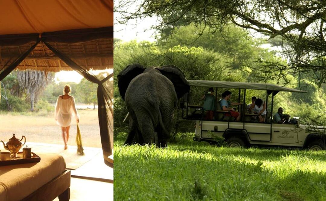 Cabañitas de lujo y safaris (Cortesía Amparo Servicios Turísticos)