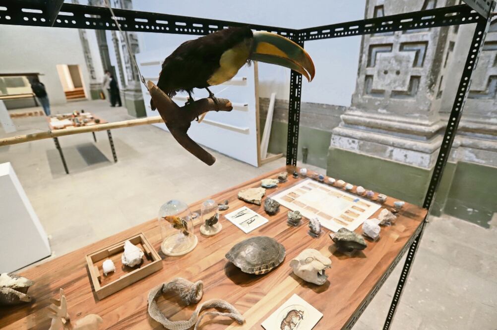 Algunas de las 400 piezas “inautécticas” que recrean el archivo contemporáneo de Humboldt. Foto: BERENICE FREGOSO. EL UNIVERSAL