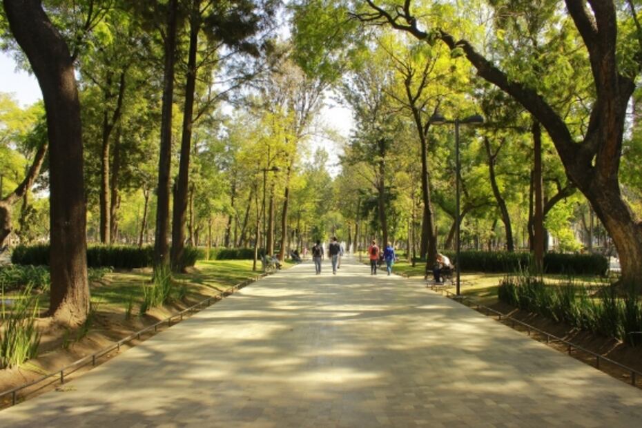 Cuando se daba de comer en diciembre en la Alameda