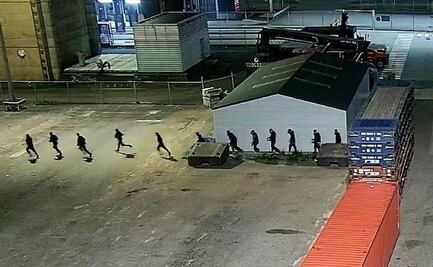 "Los recolectores de cocaína" de Rotterdam: jóvenes que descargan la droga que viaja de América Latina a Europa