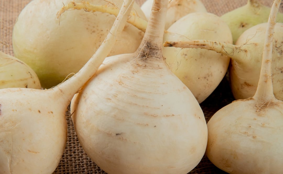 Por lo general, la jícama se considera un alimento de consumo seguro. Foto: Freepik