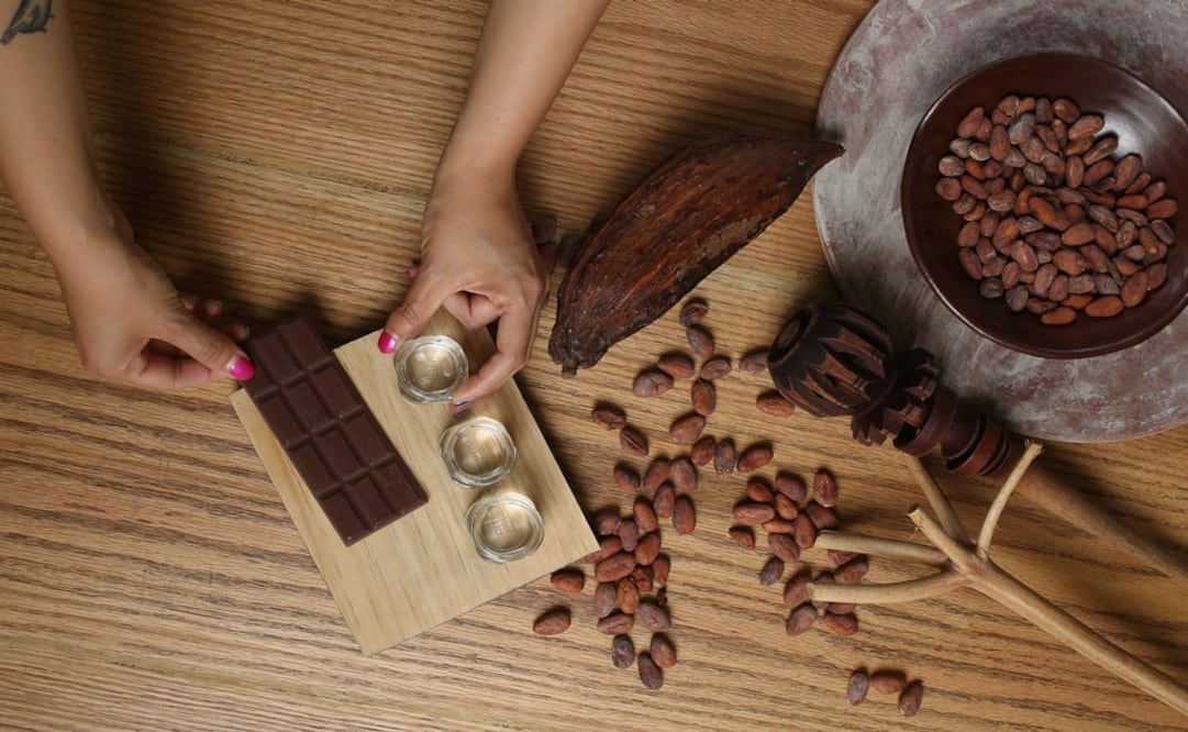 Fotos: cortesía / Instagram / Mariana Castillo