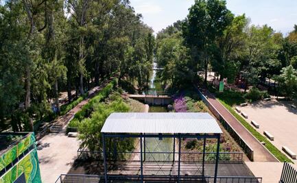 Sedema presenta el Programa de Manejo del Bosque Urbano Canal Nacional; impulsa su conservación y recuperación