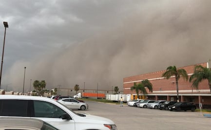 Tolvanera deja árboles caídos y cortes de energía en Coahuila
