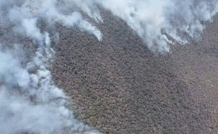 Incendio sin control en Oaxaca alcanza a la Reserva de Biosfera Tehuacán-Cuicatlán: piden ayuda humanitaria