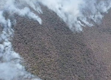 Incendio sin control en Oaxaca alcanza a la Reserva de Biosfera Tehuacán-Cuicatlán: piden ayuda humanitaria
