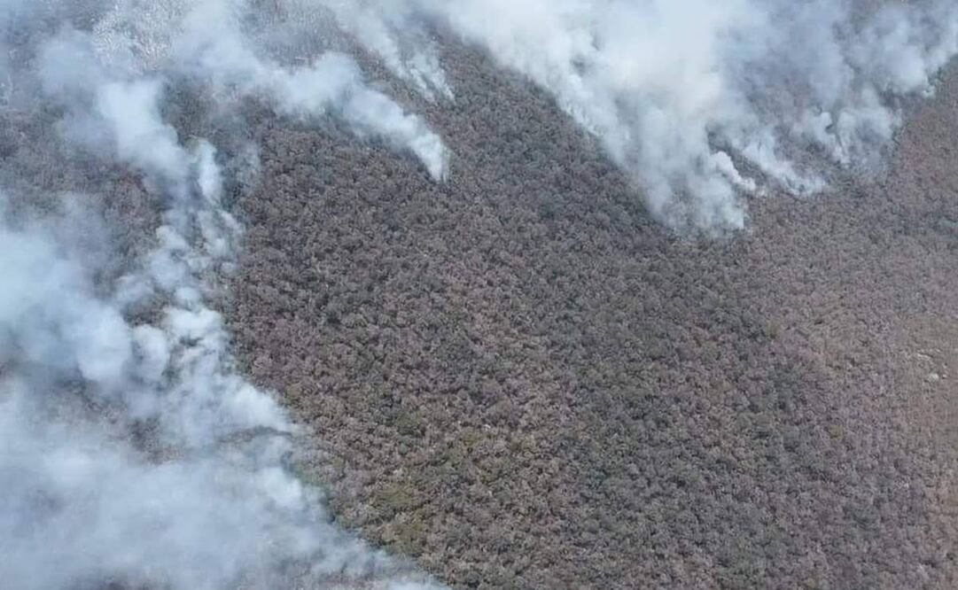 Incendio en reserva de Biosfera Tehuacán-Cuicatlán / Foto: Especial