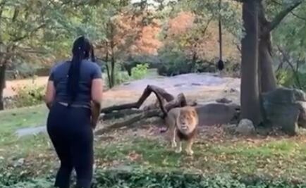 Captan a mujer bailando en área para leones de zoológico