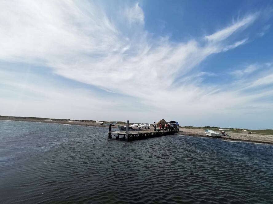 Foto: archivo/ EL UNIVERSAL