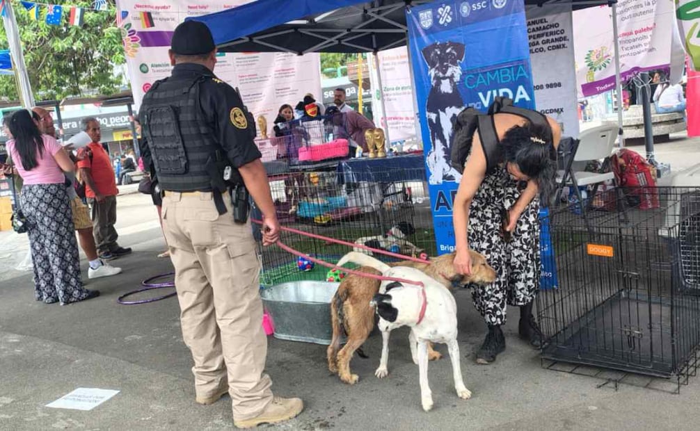 Los asistentes se acercaron para conocer a los perros y gatos disponibles. Foto: Arantxa Meave / EL UNIVERSAL
