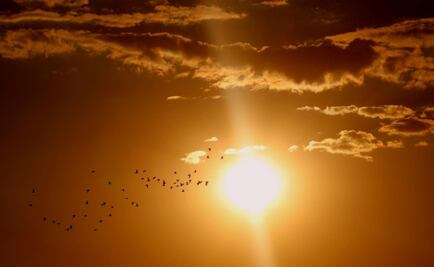 Solsticio de Verano 2024: ¿Cuándo y dónde ver el evento astronómico en México?