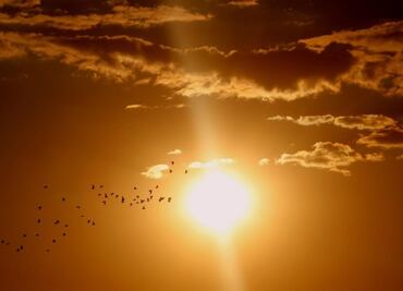 Solsticio de Verano 2024: ¿Cuándo y dónde ver el evento astronómico en México?