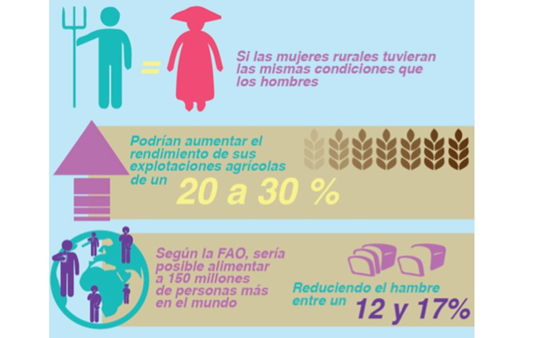 Mujeres rurales lideran la lucha contra el cambio climático