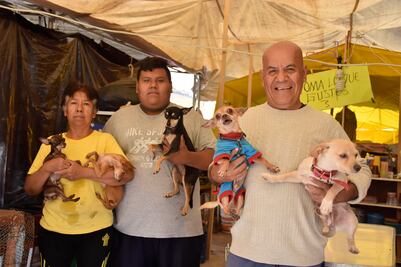 El hombre que vive en la calle con 23 perros