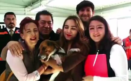 Centro de Transferencia canina ayuda a reunir a perrita con sus dueños 