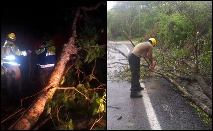Reportan saldo blanco en Jalisco tras paso de “Enrique”