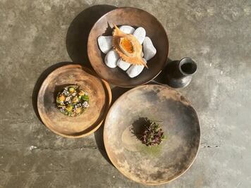 4 cocineros mexicanos en la final regional de S.Pellegrino Young Chef Academy